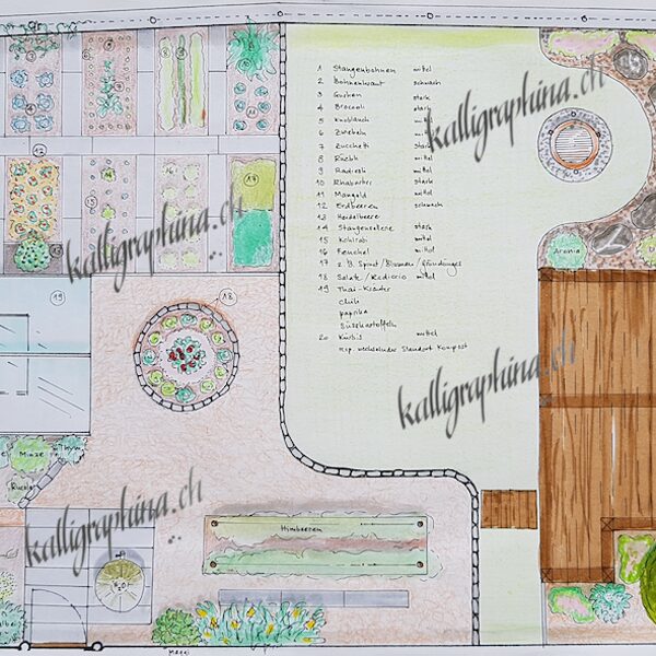 Planung eines Gartens inklusive Beetbepflanzung