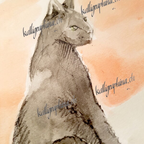 Illustration einer Karte