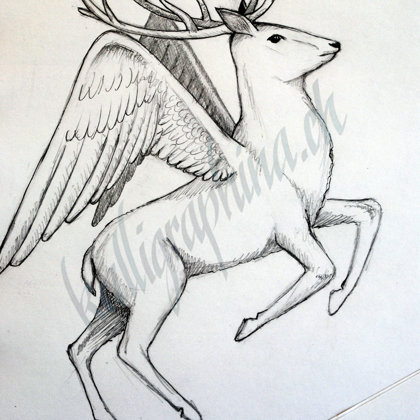 Logo conception "deer"