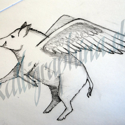 Logo conception "boar"