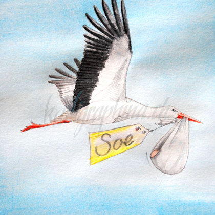 Birth announcement "Soe"