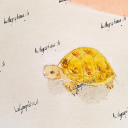 Geburtstagskarte "Schildkröte"