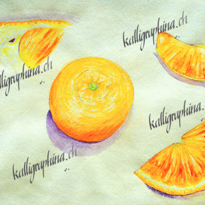 Study of a clementine
