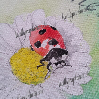 Ladybug on the Birth Card "Faustine"