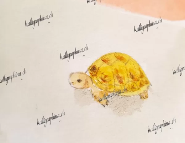 Geschenkgutschein "Schildkröte"