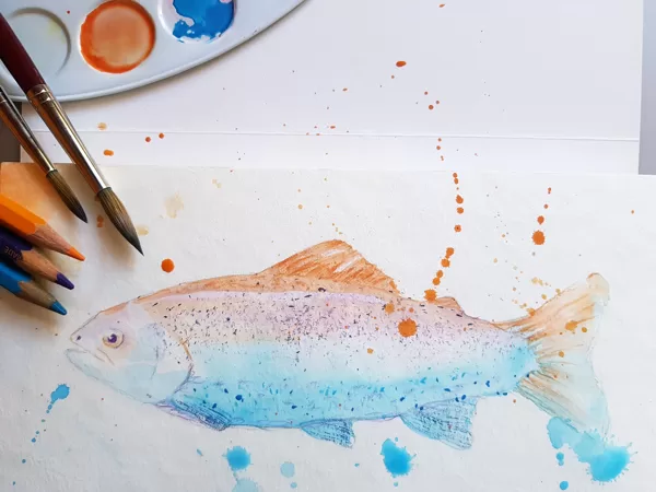 Dankeskarte für den fangfrischen Fisch