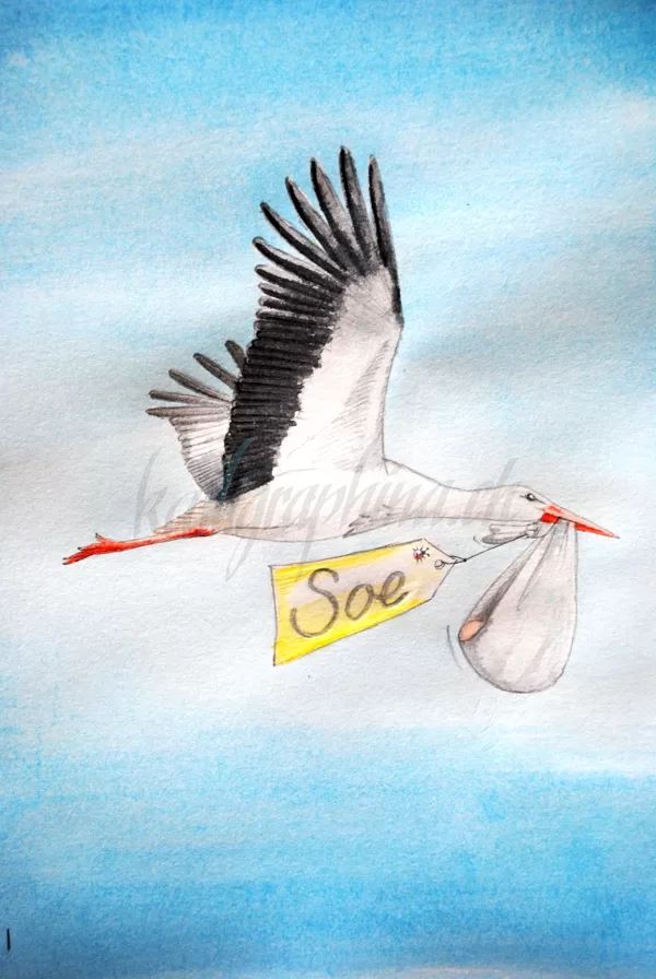 Geburtskarte "Soe"