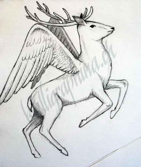Logo conception "deer"