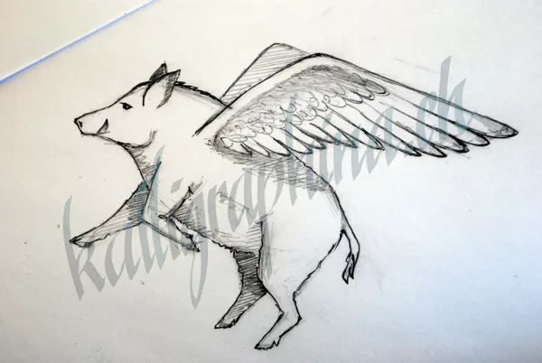 Logo conception "boar"
