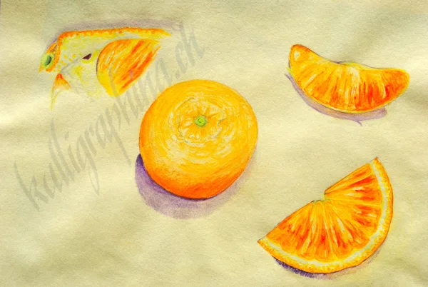 Orange - study