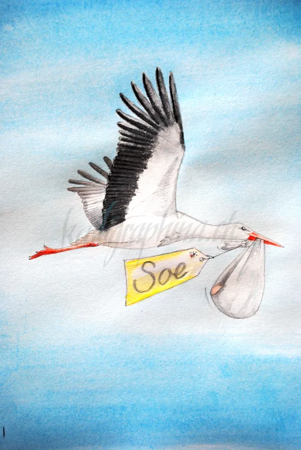 Birth announcement "Soe"