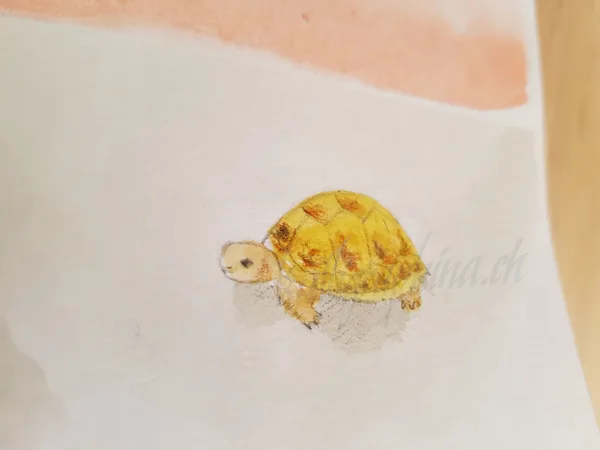 Gift voucher "turtle"