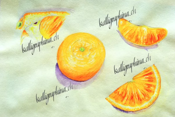 Orangen - Stilstudie