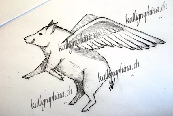 Logo-Entwurf "Luftgetrocknetes Wildschweinfleisch"