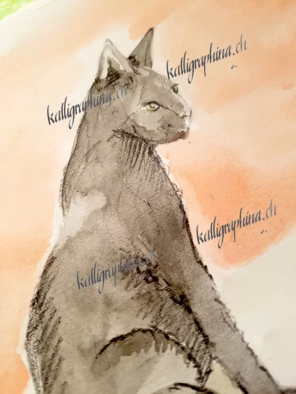 Geburtstagskarte "Kater"