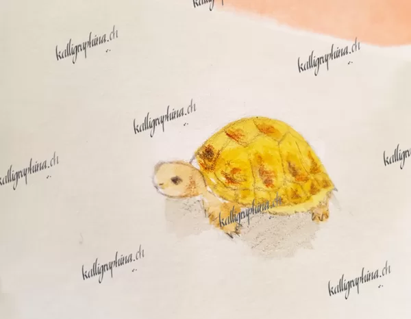 Geburtstagskarte "Schildkröte"